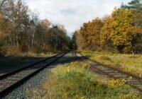 Credits: Wolfgang Weiser, pexels