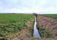 Das Bayerische Donaumoos ist durch dunkle Moorböden und ein Netz an künstlichen Drainagegräben gekennzeichnet. | Quelle: Anne Köhler