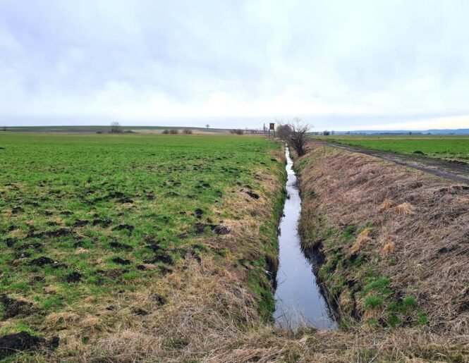 Donaumoos | Pugnalom Das Bayerische Donaumoos ist durch dunkle Moorböden und ein Netz an künstlichen Drainagegräben gekennzeichnet. | Quelle: Anne Köhler