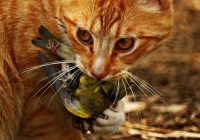 Credits: federhilfe.de