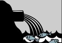 Credits: OpenClipart-Vectors, pixabay