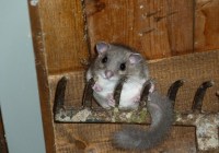 Credits: austromat, pixabay