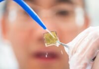 Das Material kann das Sonnenlicht effektiv einfangen, so dass die darin enthaltene Energie durch die photochemische Wasserspaltungsreaktion zur Wasserstofferzeugung genutzt werden kann. Foto: Olov Planthaber/Linköping Universität