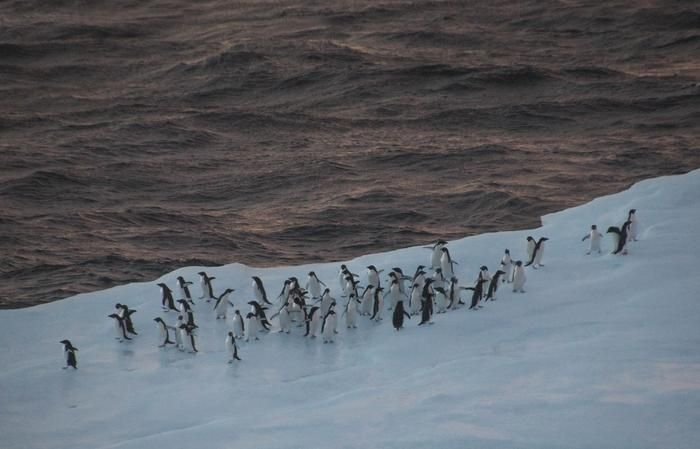 low-res_figure1_dbahlburg7738040549790012410 | Pugnalom