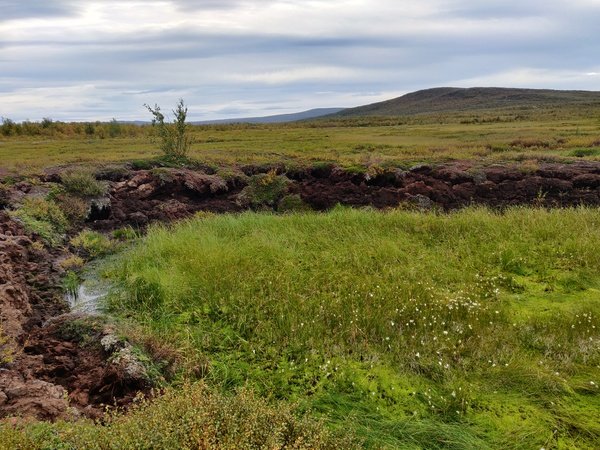 mediumalsakuvaonaeppiniemi | Pugnalom