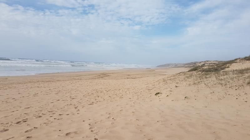 newsimage4078403037176787611543256 | Pugnalom