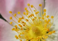 Credits: André Marques