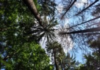 Credits: Christina Hackmann, Universität Göttingen