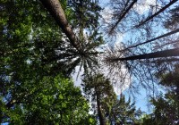 Credits: Christina Hackmann, Universität Göttingen