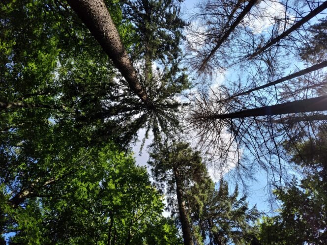 Credits: Christina Hackmann, Universität Göttingen