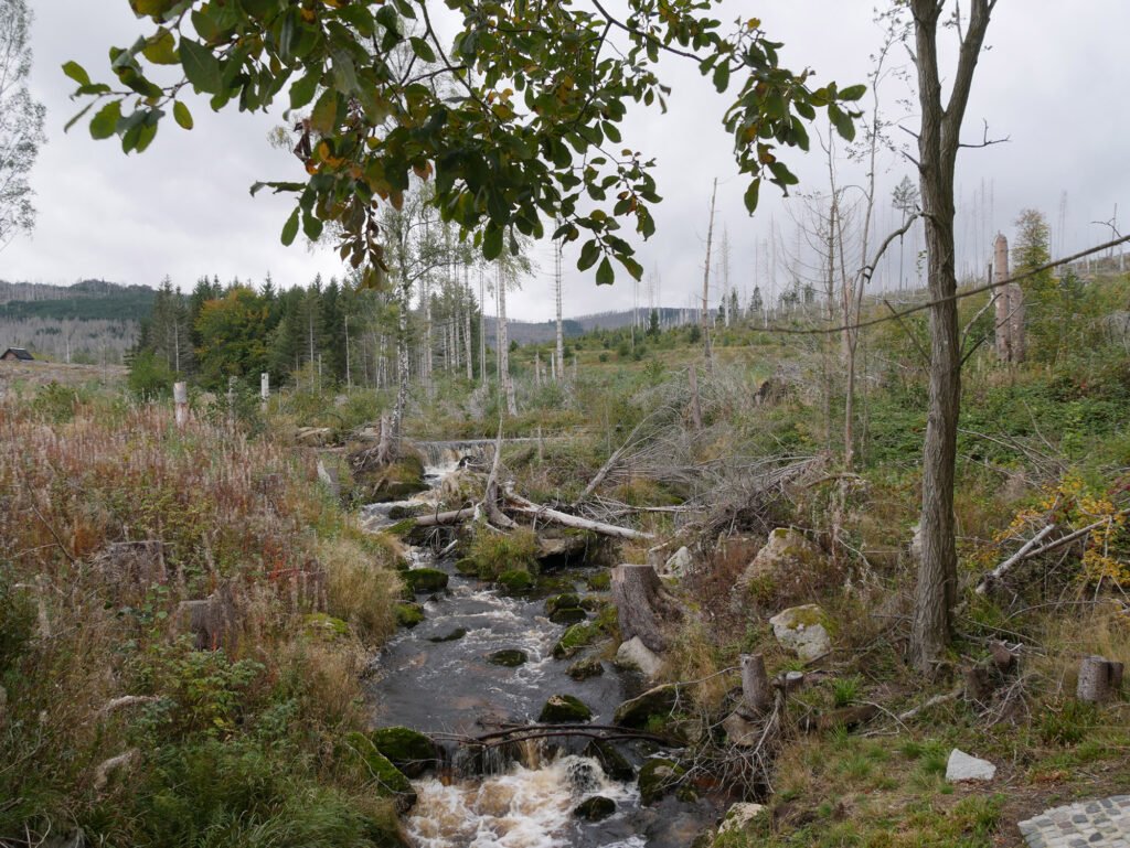 Credits: Beate Büttner, Thünen-Institut