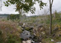 Credits: Beate Büttner, Thünen-Institut