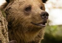 Credits: Ellie Burgin, pexels