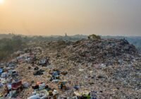 Credits: Tom Fisk, pexels