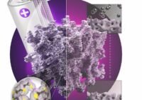 Die Illustration zeigt die Struktur des schwammartigen Materials mit den beiden Anwendungen in einer Batteriekathode (links) und zur Abscheidung von Metallionen (rechts) | Quelle: Dr. J. Richers, Dr. C. Kühne | Copyright: Dr. J. Richers, Dr. C. Kühne