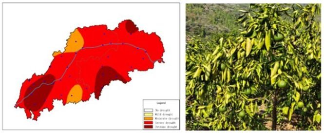 Low-Res_3.png | Pugnalom