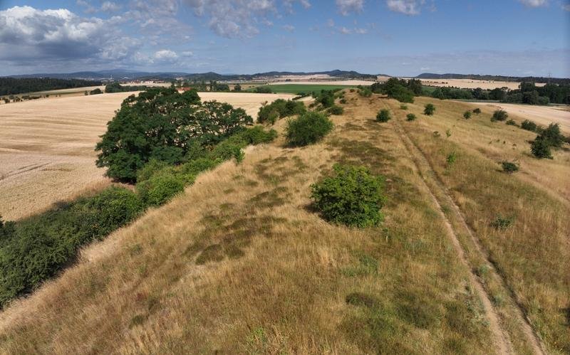 Luftbild des Harzer Naturdenkmals „Trog“, das 18 Arten von Wildpflanzen beherbergt, die eine besondere Bedeutung für die Ernährung und Landwirtschaft haben. | Quelle: Jonathan Brassac/JKI | Copyright: © Julius Kühn-Institut (JKI) 