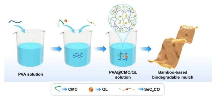 low-res_??17435328530463360986. | Pugnalom