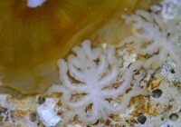 Credits: Georg Brenneis