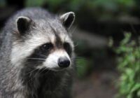 Credits: Goethe-Universität Frankfurt