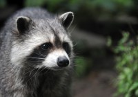 Credits: Goethe-Universität Frankfurt