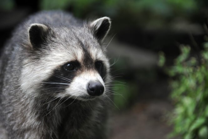 Credits: Goethe-Universität Frankfurt