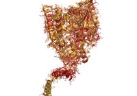 Credits: Markus Ralser, Charité