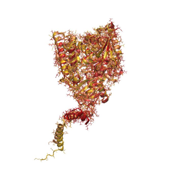 Credits: Markus Ralser, Charité