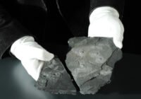 Credits: Alice Schumacher, NHM Wien, Alice Schumacher