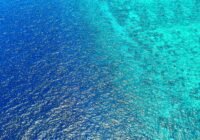 Credits: Asad Photo Maldives, pexels