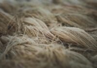 Credits: Francesco Ungaro, pexels