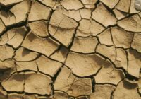 Credits: Francesco Ungaro, pexels