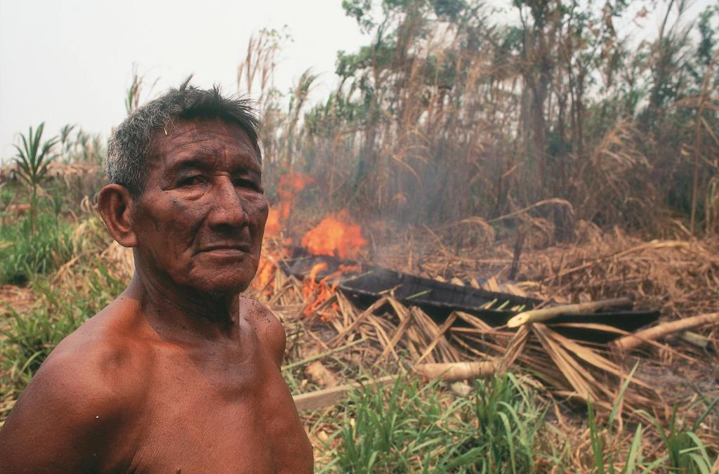 Credits: Pablo RAMON, pexels