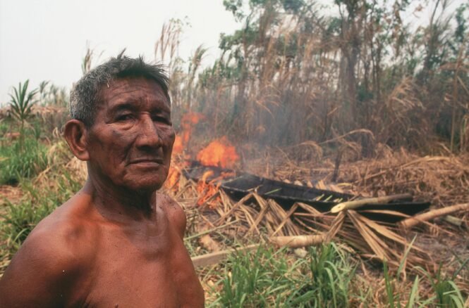 Credits: Pablo RAMON, pexels