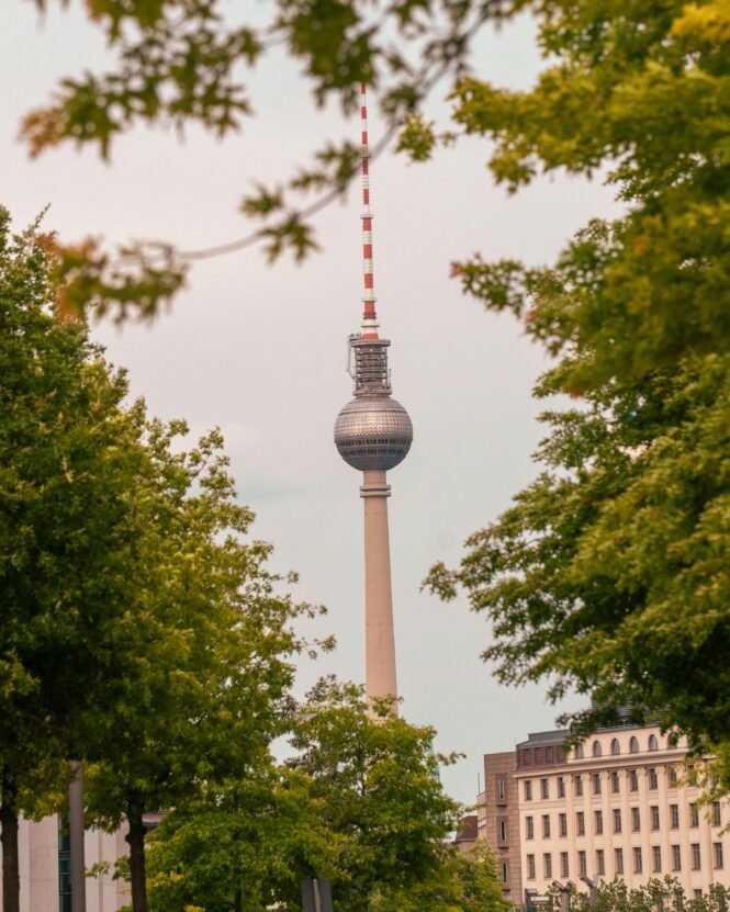 pexels-paul-scharf-2152542633-32848450 | Pugnalom Credits: Paul Schärf, pexels