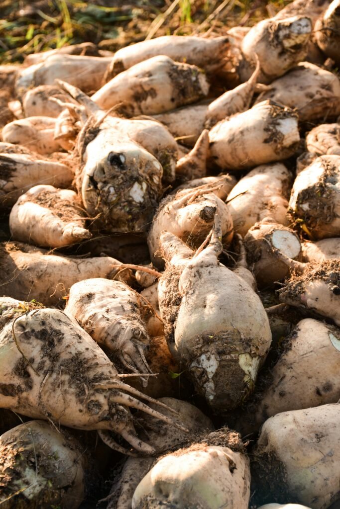 Credits: Samet Kaplan, pexels