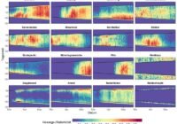 Eine Auswahl an zeitlichen Mustern der Gesangs- und Rufaktivität von Waldvogelarten. | Quelle: Grafik: David Singer | Copyright: David Singer
