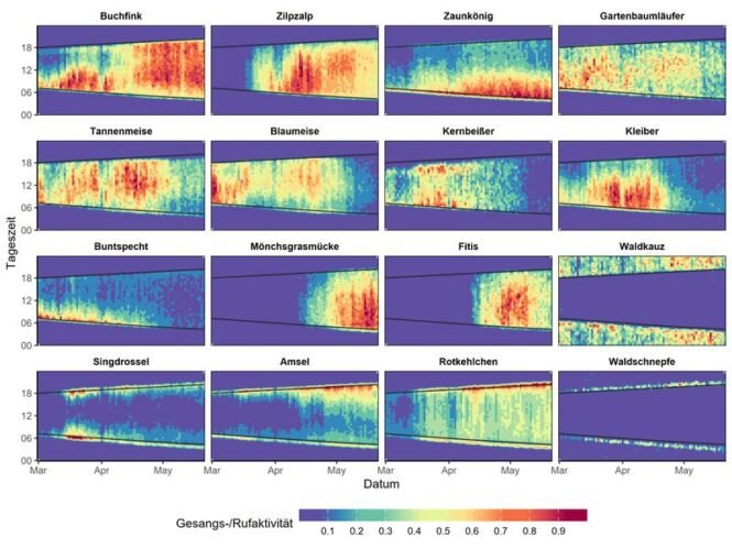 vogelgesang | Pugnalom Eine Auswahl an zeitlichen Mustern der Gesangs- und Rufaktivität von Waldvogelarten. | Quelle: Grafik: David Singer | Copyright: David Singer