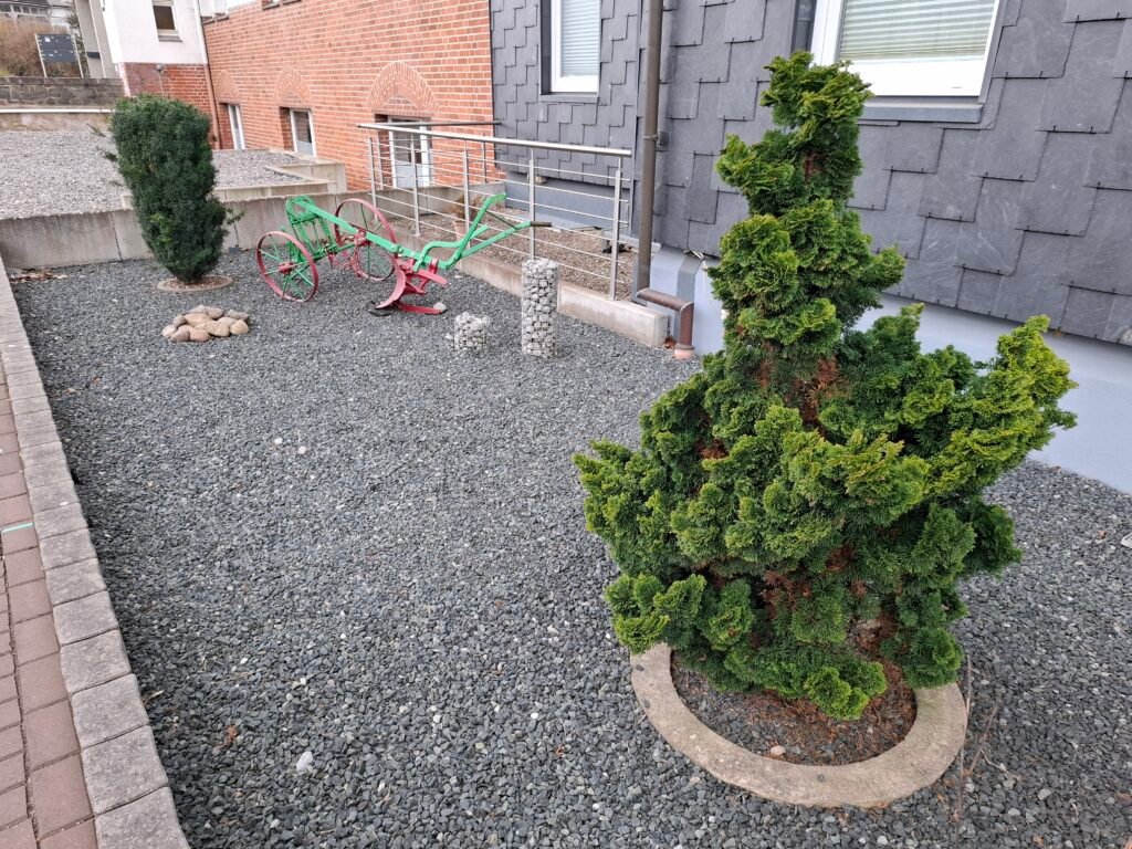 20250313_141948 | Pugnalom Credits: Pugnalom