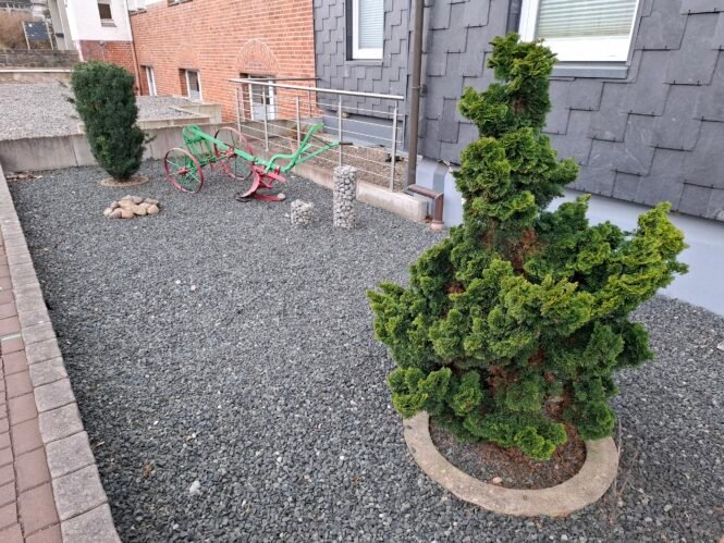 20250313_141948 | Pugnalom Credits: Pugnalom