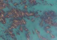 Credits: Ortiz-Villa et al.