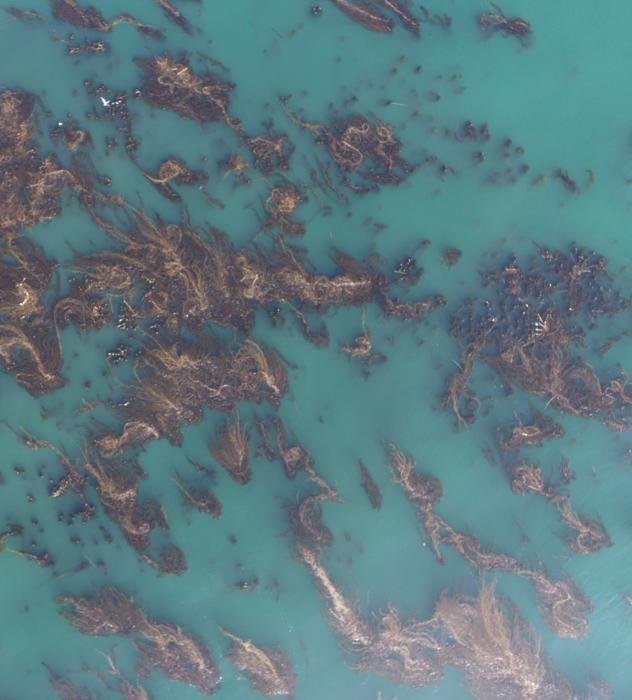 Credits: Ortiz-Villa et al.