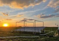 In der SoyFACE-Anlage an der University of Illinois Urbana-Champaign setzten Forscher Sojabohnen erhöhtem Ozon aus, während sie gleichzeitig Niederschläge ausschlossen. Foto von Duncan Martin.