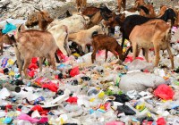 Credits: Iqro Rinaldi, unsplash