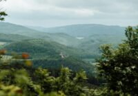 Credits: Lisa Heeke, unsplash