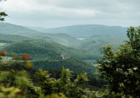 Credits: Lisa Heeke, unsplash