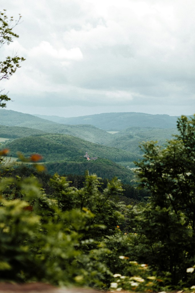 Credits: Lisa Heeke, unsplash