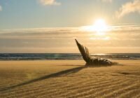 Credits: Lukas Seitz, unsplash