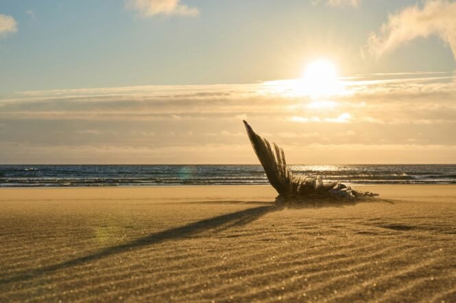 Credits: Lukas Seitz, unsplash