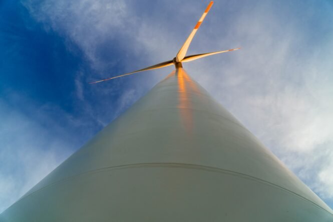 muhammad-taufik-8eB8Z3isdBs-unsplash | Pugnalom Credits: Muhammad Taufik, unsplash